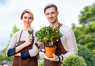 Проект «под ключ» где можно заказать по низкой цене  в Ижевске