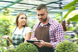 Дендроплан - верное планирование территории и решения этой задачи на уровне  в Ижевске