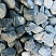 Kamenclub.ru: Щебень галтованный зеленый (змеевик) фр. 50-100 мм.  купить в Ижевске галтовка мраморная зеленый, салатовый мрамор 12 500 руб/т   фото КАМЕНЬ КЛУБ