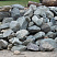 Kamenclub.ru: Гранит скальник (серо-зеленый) фр. 100-500 мм.  купить в Ижевске гранит зеленый, серый, салатовый крупный ландшафтный валун 6 000 руб/т   фото КАМЕНЬ КЛУБ