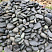 Kamenclub.ru: Темно-серый валунчик фр.100-300 мм.  купить в Ижевске крупный природный камень серый, темно-серый, светло-серый речная галька большого размера окатанная 4500 руб/т   фото КАМЕНЬ КЛУБ