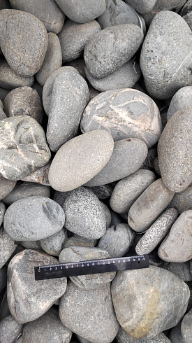 Kamenclub.ru: Галька речная окат (темно-серая) фр. 70-150 мм. купить  в Ижевске галька речная темно-серая, синяя, серая речная галька округлая  8000 руб/т   фото КАМЕНЬ КЛУБ