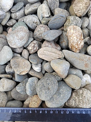 Kamenclub.ru: Галька речная окат (пестрая) фр. 20-40 мм. купить  в Ижевске галька речная пестрая, серая, серые оттенки галька речная окатанная округлая 5000 руб/т   фото КАМЕНЬ КЛУБ