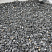 Kamenclub.ru: Щебень крошка черный (мрамор) фр. 10-20 мм.  купить в Ижевске мрамор черный с белыми прожилками, черный, белый каменная ландшафтная декоративная крошка щебня 11000 руб/т   фото КАМЕНЬ КЛУБ