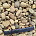 Kamenclub.ru: Галька речная окат рыжая фр. 20-40 мм. купить  в Ижевске галька речная окатанная рыжая желтая серая округлая речная галька 5000 руб/т   фото КАМЕНЬ КЛУБ