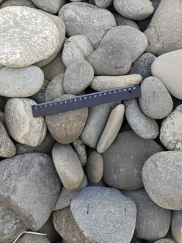 Kamenclub.ru: Галька речная плоская (серо-белая) фр. 70-120 мм. купить  в Ижевске галька галечник речной серый, белый окатанная плоская  природная галька 9000 руб/т   фото КАМЕНЬ КЛУБ