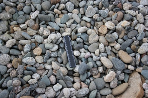 Kamenclub.ru: Галька речная окат (пестрая) фр. 20-40 мм. купить  в Ижевске галька речная пестрая, серая, серые оттенки галька речная окатанная округлая 5000 руб/т   фото КАМЕНЬ КЛУБ