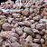 Kamenclub.ru: Розовый валунчик фр.100-300 мм.  купить в Ижевске крупный природный камень розовый, серый молочный красный речной галечник природный 7850 руб/т   фото КАМЕНЬ КЛУБ