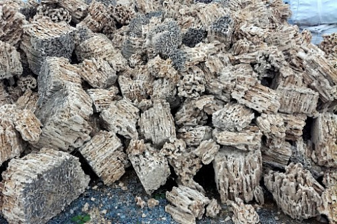 Kamenclub.ru: Крымский природный меотис фр. 100-500 мм.  купить в Ижевске меотис бежевый рыжий молочный желтый ракушечник 4 500 руб/т   фото КАМЕНЬ КЛУБ