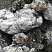 Kamenclub.ru: Черный гранит - кварцит фр. 100-500 мм.  купить в Ижевске мрамор гранит черный с белыми прожилками, серый, белый валун скальный колотый 7000 руб/т   фото КАМЕНЬ КЛУБ