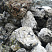 Kamenclub.ru: Черный гранит - кварцит фр. 100-500 мм.  купить в Ижевске мрамор гранит черный с белыми прожилками, серый, белый валун скальный колотый 7000 руб/т   фото КАМЕНЬ КЛУБ