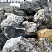 Kamenclub.ru: Черный гранит - кварцит фр. 500-1000 мм.  купить в Ижевске гранит кварцит черный серый белый скальный колотый валун 9750 руб/т   фото КАМЕНЬ КЛУБ