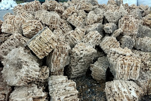 Kamenclub.ru: Крымский природный меотис фр. 100-500 мм.  купить в Ижевске меотис бежевый рыжий молочный желтый ракушечник 4 500 руб/т   фото КАМЕНЬ КЛУБ