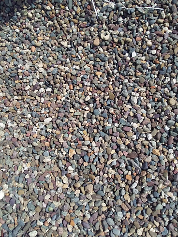Kamenclub.ru: Галька речная окат цветная фр.5-10 мм. купить  в Ижевске галька речная белый, серый, красноватый, синий, темно-серый речная окатанная галька декоративная 6800 руб/т   фото КАМЕНЬ КЛУБ