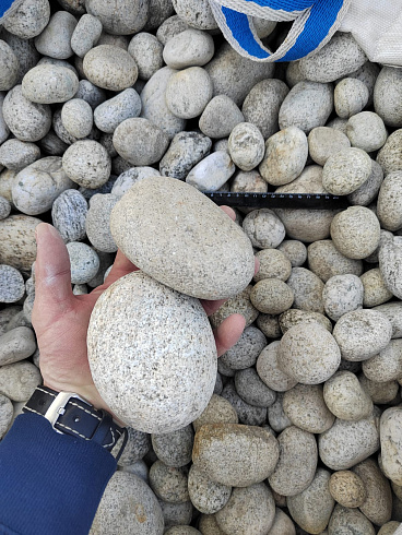 Kamenclub.ru: Галька речная окат (серо-белая) фр. 70-120 мм купить  в Ижевске галька галечник бело-серая, серо-белая, серая, белая речная природная галька  8000 руб/т   фото КАМЕНЬ КЛУБ