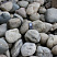 Kamenclub.ru: Темно-серый валунчик фр.100-300 мм.  купить в Ижевске крупный природный камень серый, темно-серый, светло-серый речная галька большого размера окатанная 4500 руб/т   фото КАМЕНЬ КЛУБ