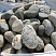 Kamenclub.ru: Речной валун (Ассорти) фр.100-300 мм.  купить в Ижевске галечник серый, темно-серый, светло-серый речная галька крупных размеров 4200 руб/т   фото КАМЕНЬ КЛУБ