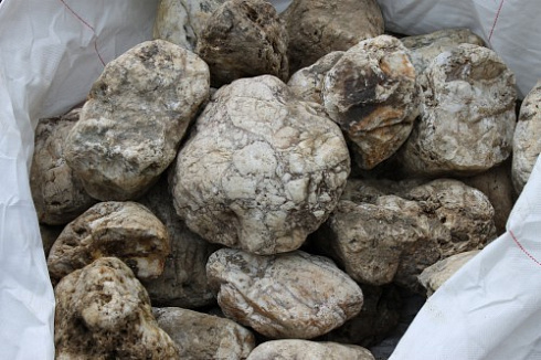 Kamenclub.ru: Кварцевый валунчик фр.100-300 мм.  купить в Ижевске кварц белый, бежевый молочный рыжий крупный природный камень галечник 7850 руб/т   фото КАМЕНЬ КЛУБ