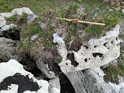 Kamenclub.ru: Выветренный известняк (степной) фр. 500-1500 мм.  купить в Ижевске    10000 руб/т   фото КАМЕНЬ КЛУБ