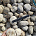 Kamenclub.ru: Галька речная окат (серо-белая) фр. 70-120 мм купить  в Ижевске галька галечник бело-серая, серо-белая, серая, белая речная природная галька  8000 руб/т   фото КАМЕНЬ КЛУБ