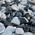 Kamenclub.ru: Мраморная крошка (щебень галтованный микс:: белый-черный) фр.20-40 мм  купить в Ижевске мрамор белый, черный мраморный галтованный щебень 15500 руб/т   фото КАМЕНЬ КЛУБ