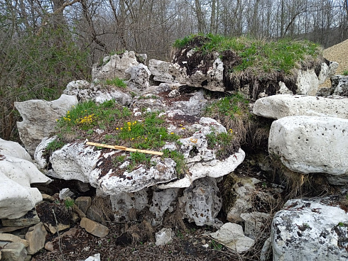 Kamenclub.ru: Выветренный известняк со мхом фр. 100-500 мм.  купить в Ижевске известняк серый белый зеленый валун известняковый крупный 10000 руб/т   фото КАМЕНЬ КЛУБ