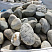 Kamenclub.ru: Речной валун (Ассорти) фр.100-300 мм.  купить в Ижевске галечник серый, темно-серый, светло-серый речная галька крупных размеров 4200 руб/т   фото КАМЕНЬ КЛУБ
