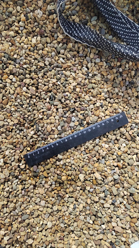 Kamenclub.ru: Галька окат (серо-желтая) фр.5-10 мм. купить  в Ижевске галька речная рыжий, желтый, рыжий, серо-желтый речная окатанная галька декоративная 5000 руб/т   фото КАМЕНЬ КЛУБ