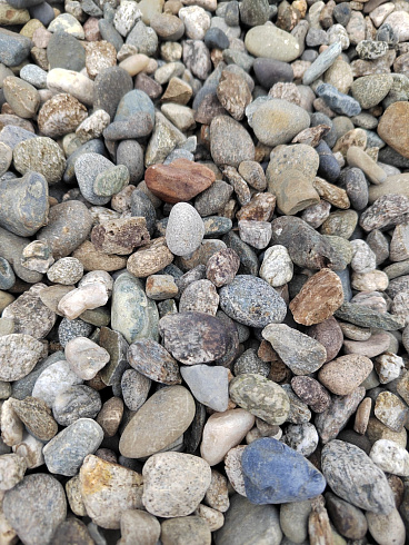 Kamenclub.ru: Галька речная окат (серая) фр.10-20 мм купить  в Ижевске галька речная серая, серый, темно-серый, светло-серый, коричневый ландшафтная декоративная речная окатанная округлая галька 5000 руб/т   фото КАМЕНЬ КЛУБ
