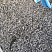 Kamenclub.ru: Галька речная окат (серая) фр.3-5 мм купить  в Ижевске галька речная серая бежевый темно-серый окатанный речной камень округлый 9500 руб/т   фото КАМЕНЬ КЛУБ