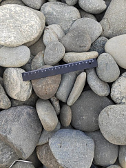 Kamenclub.ru: Галька речная плоская (ассорти) фр. 70-150 мм. купить в Ижевске галька галечник серый белый темно-серый синий светло-серый плоская природная галька  9000 руб/т   фото КАМЕНЬ КЛУБ