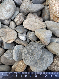 Kamenclub.ru: Галька речная окат (серая) фр.40-60 мм купить  в Ижевске галька речная серый бежевый рыжий коричневый округлый речной камень 5000 руб/т   фото КАМЕНЬ КЛУБ