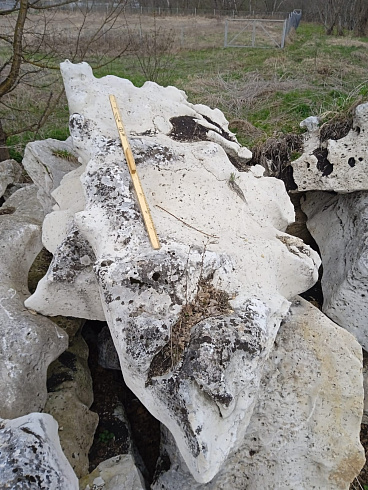 Kamenclub.ru: Выветренный известняк со мхом фр. 100-500 мм.  купить в Ижевске известняк серый белый зеленый валун известняковый крупный 10000 руб/т   фото КАМЕНЬ КЛУБ