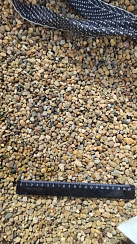 Kamenclub.ru: Галька окат (серо-желтая) фр.5-10 мм. купить  в Ижевске галька речная рыжий, желтый, рыжий, серо-желтый речная окатанная галька декоративная 5000 руб/т   фото КАМЕНЬ КЛУБ