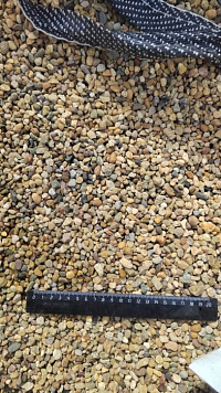 Kamenclub.ru: Галька окат (серо-желтая) фр.5-10 мм. купить  в Ижевске галька речная рыжий, желтый, рыжий, серо-желтый речная окатанная галька декоративная 5000 руб/т   фото КАМЕНЬ КЛУБ