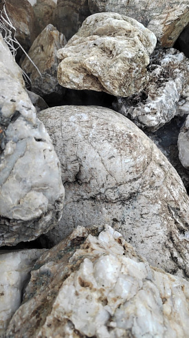 Kamenclub.ru: Кварцевый валунчик фр.100-300 мм.  купить в Ижевске кварц белый, бежевый молочный рыжий крупный природный камень галечник 7850 руб/т   фото КАМЕНЬ КЛУБ