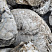 Kamenclub.ru: Кварцевый валунчик фр.100-300 мм.  купить в Ижевске кварц белый, бежевый молочный рыжий крупный природный камень галечник 7850 руб/т   фото КАМЕНЬ КЛУБ
