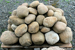 Kamenclub.ru: Песчаник ядра, фр. 100-300 мм  купить в Ижевске песчаник бежевый серый рыжий речная галька 5 000 руб/т   фото КАМЕНЬ КЛУБ