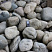 Kamenclub.ru: Речной валун (Ассорти) фр.100-300 мм.  купить в Ижевске галечник серый, темно-серый, светло-серый речная галька крупных размеров 4200 руб/т   фото КАМЕНЬ КЛУБ