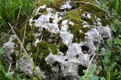 Kamenclub.ru: Выветренный известняк со мхом фр. 100-500 мм.  купить в Ижевске известняк серый белый зеленый валун известняковый крупный 10000 руб/т   фото КАМЕНЬ КЛУБ