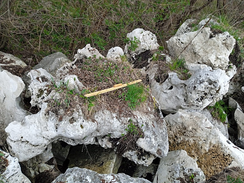 Kamenclub.ru: Выветренный известняк (степной) фр. 500-1500 мм.  купить в Ижевске    10000 руб/т   фото КАМЕНЬ КЛУБ