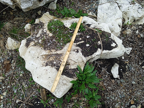 Kamenclub.ru: Выветренный известняк (степной) фр. 500-1500 мм.  купить в Ижевске    10000 руб/т   фото КАМЕНЬ КЛУБ