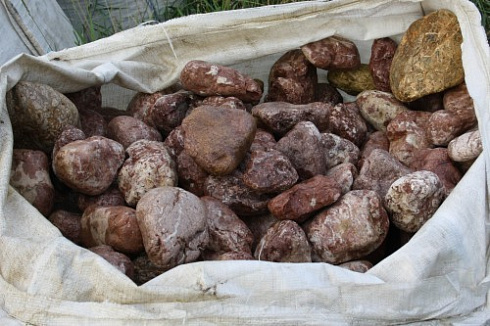 Kamenclub.ru: Розовый валунчик фр.100-300 мм.  купить в Ижевске крупный природный камень розовый, серый молочный красный речной галечник природный 7850 руб/т   фото КАМЕНЬ КЛУБ