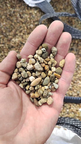 Kamenclub.ru: Галька окат (серо-желтая) фр.5-10 мм. купить  в Ижевске галька речная рыжий, желтый, рыжий, серо-желтый речная окатанная галька декоративная 5000 руб/т   фото КАМЕНЬ КЛУБ